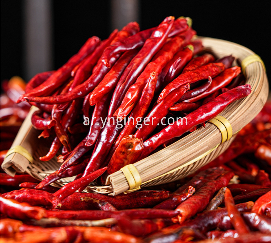 dried chili pepper 3